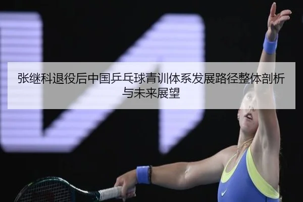 张继科退役后中国乒乓球青训体系发展路径整体剖析与未来展望